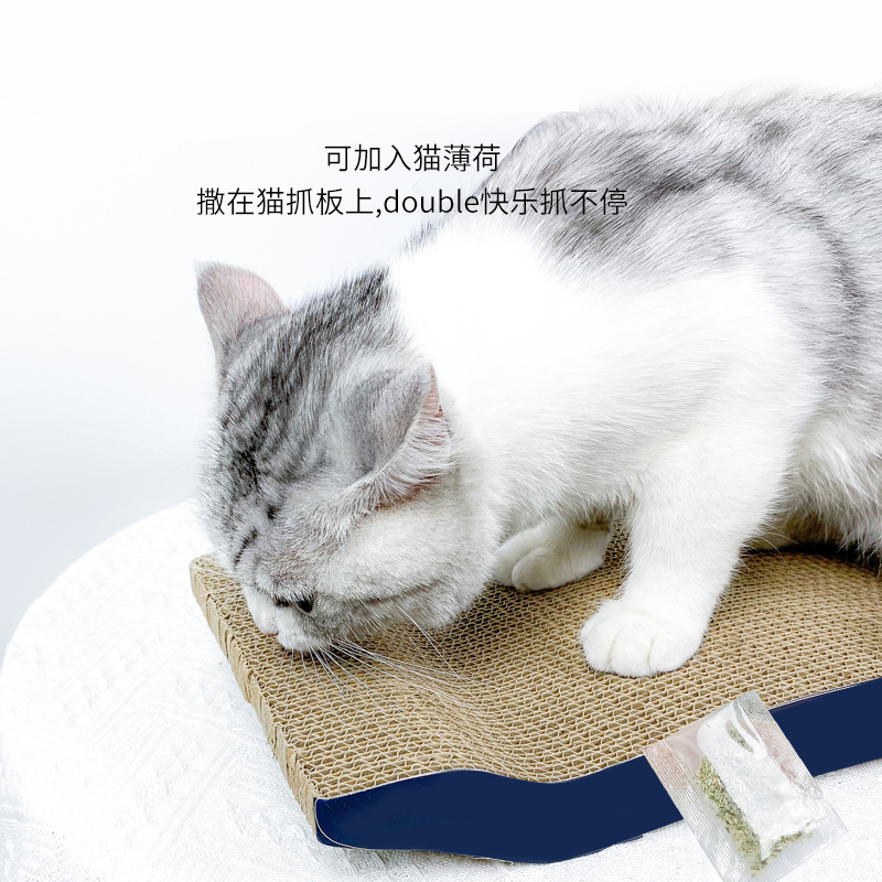 貓玩具